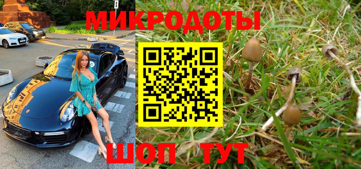 Псилоцибиновые грибы мицелий Туапсе
