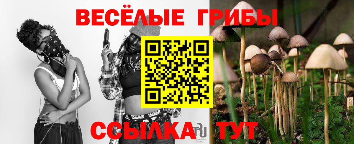 Псилоцибиновые грибы ЛСД  Вход с VPN  Туапсе 